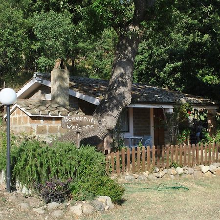 Azienda Agricola Biologica La Cardellina Tolfa Kültér fotó
