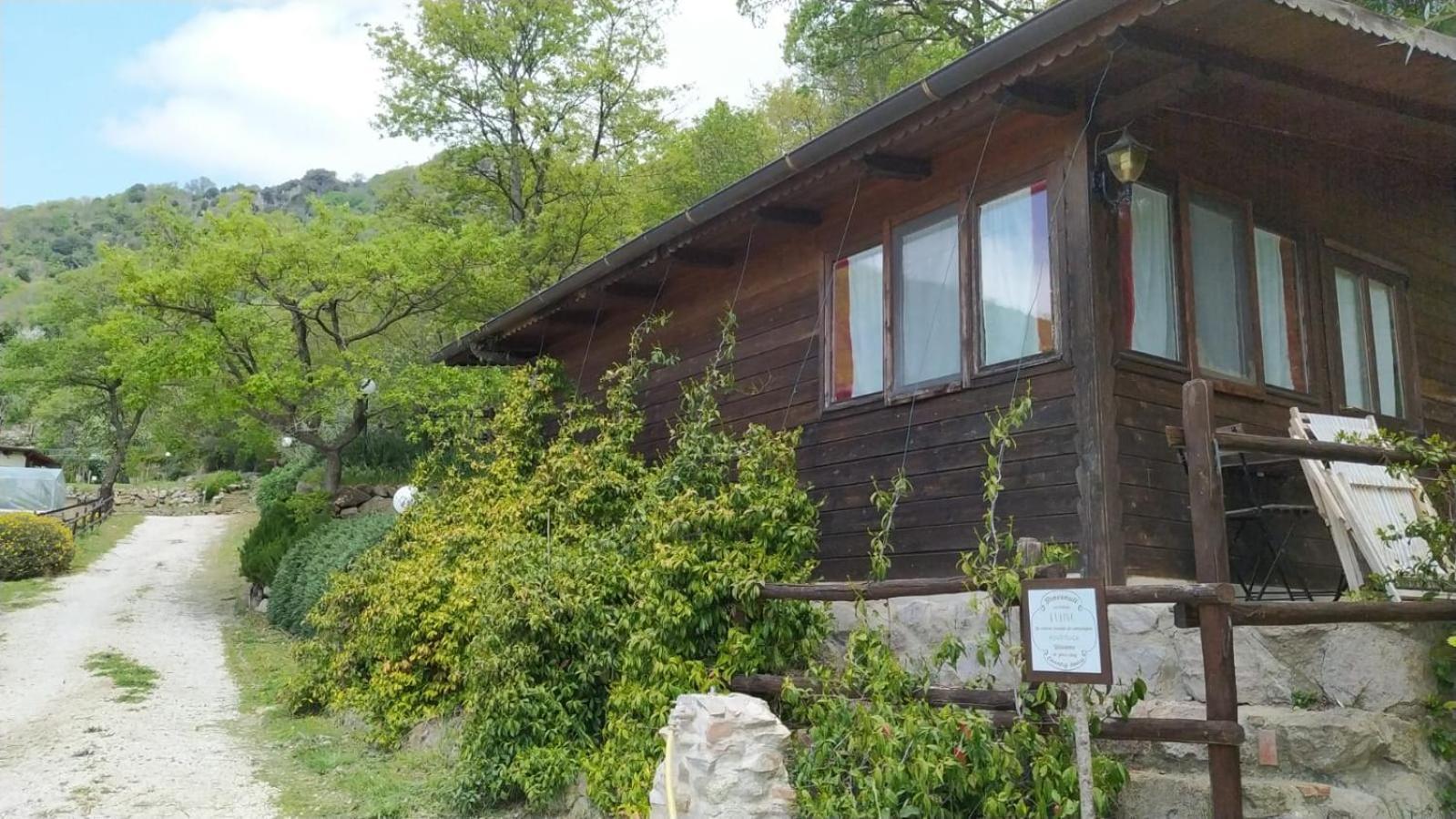 Azienda Agricola Biologica La Cardellina Tolfa Kültér fotó