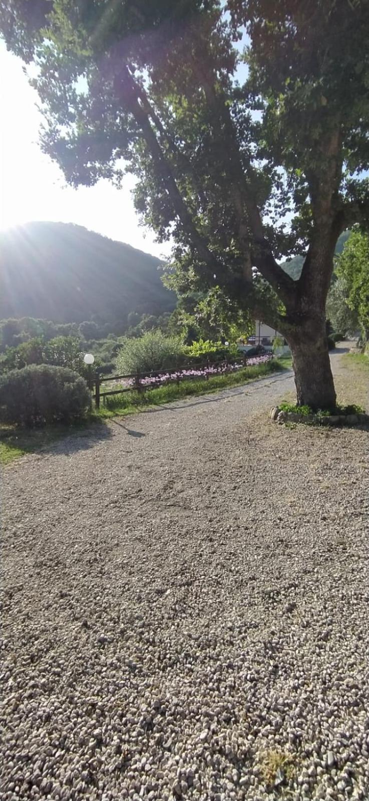 Azienda Agricola Biologica La Cardellina Tolfa Kültér fotó