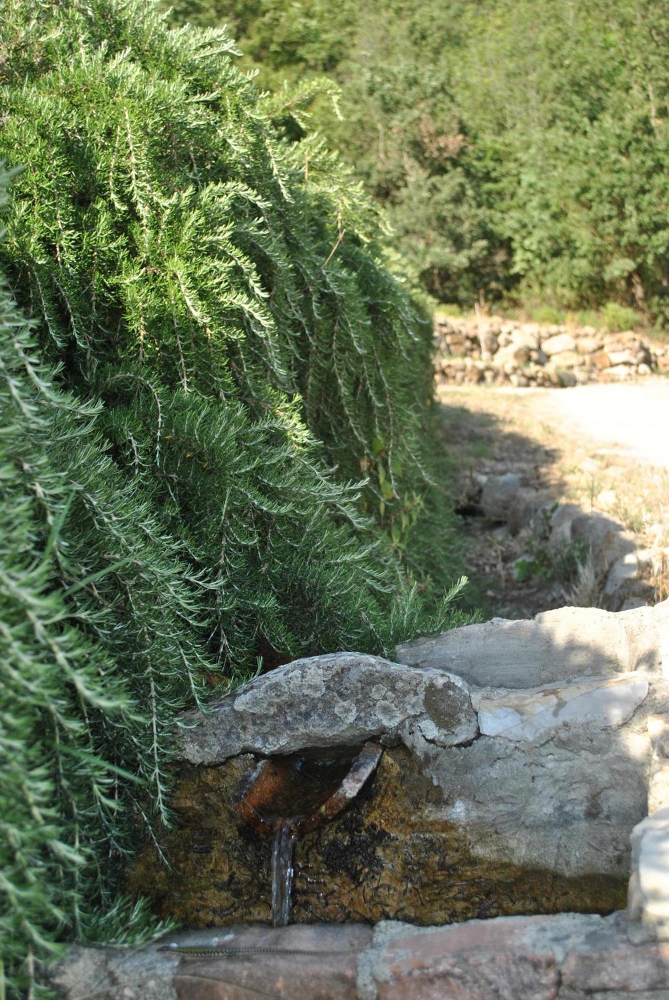 Azienda Agricola Biologica La Cardellina Tolfa Kültér fotó
