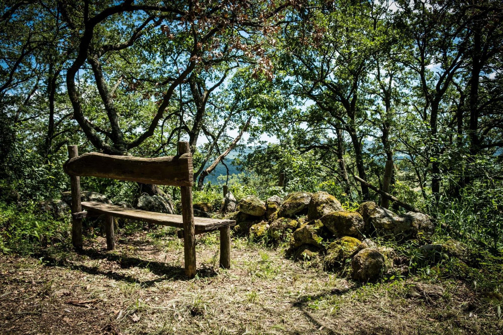Azienda Agricola Biologica La Cardellina Tolfa Kültér fotó