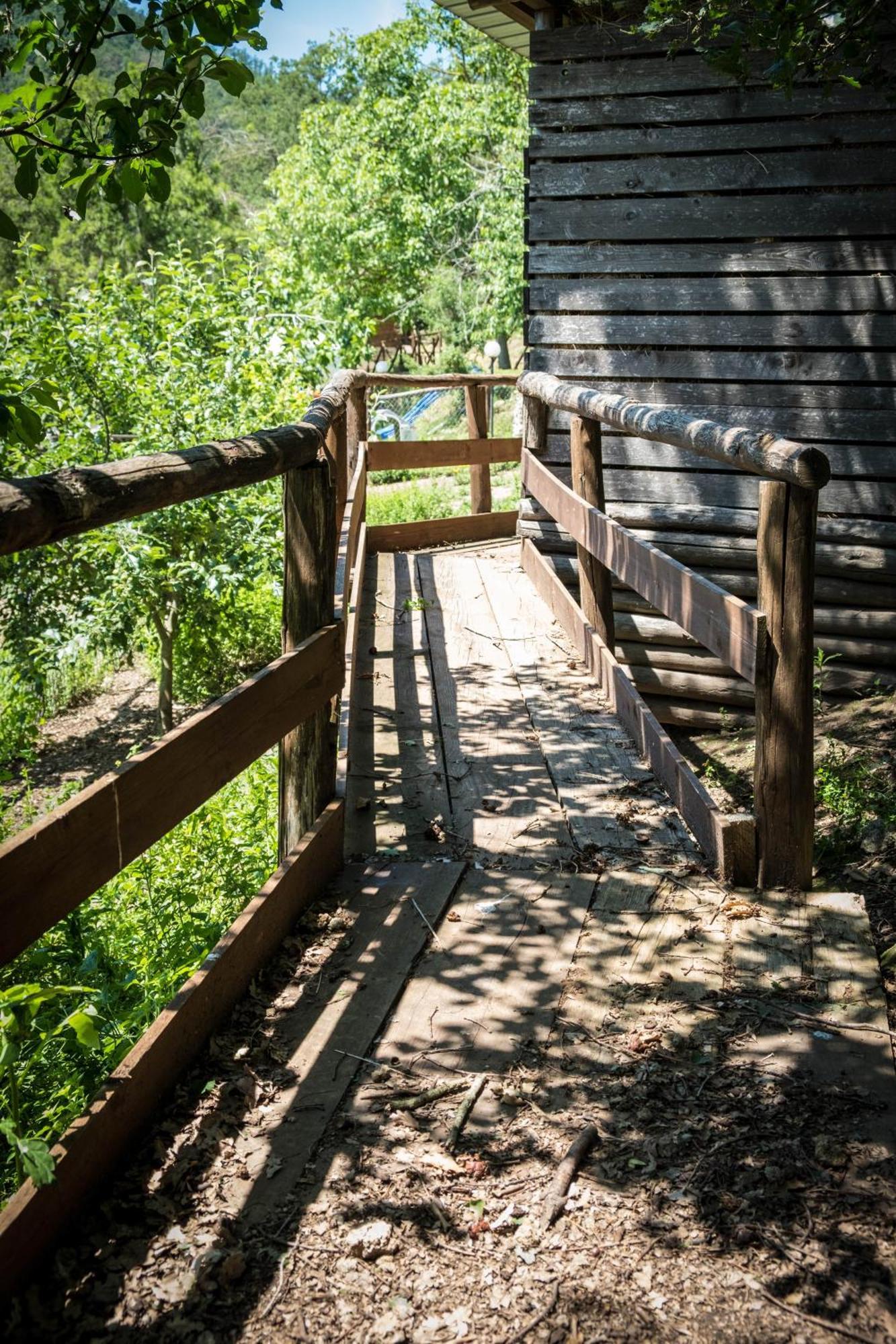 Azienda Agricola Biologica La Cardellina Tolfa Kültér fotó