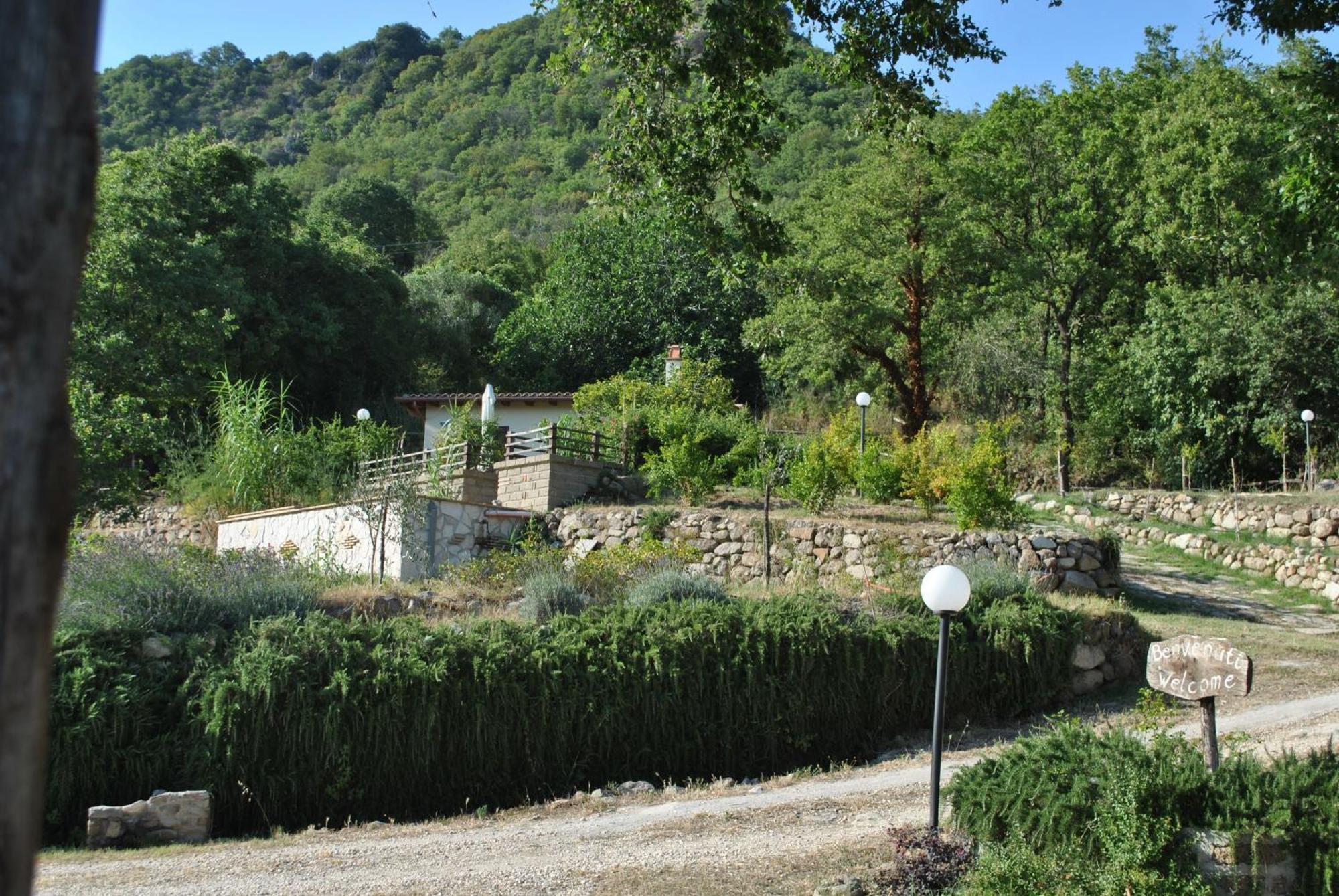 Azienda Agricola Biologica La Cardellina Tolfa Kültér fotó