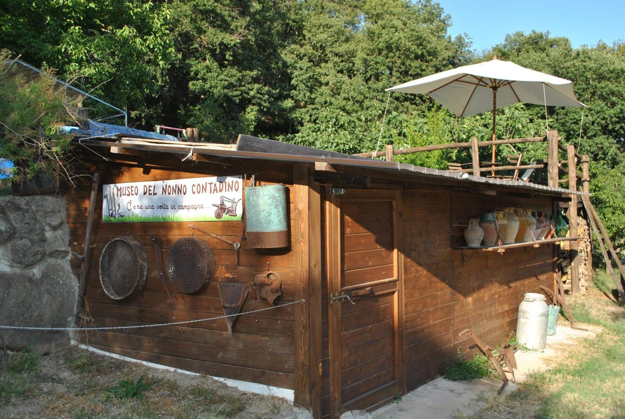 Azienda Agricola Biologica La Cardellina Tolfa Kültér fotó
