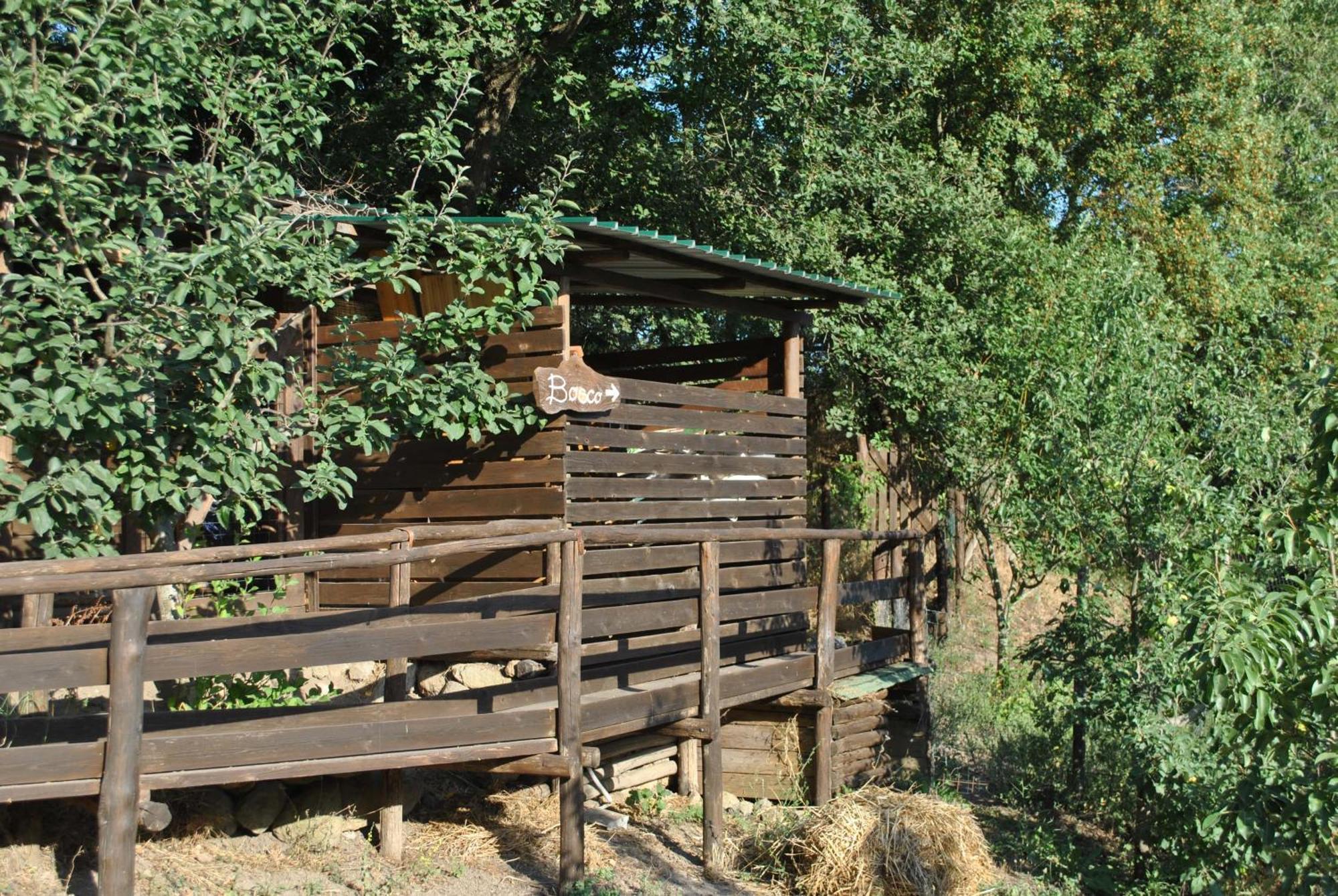 Azienda Agricola Biologica La Cardellina Tolfa Kültér fotó